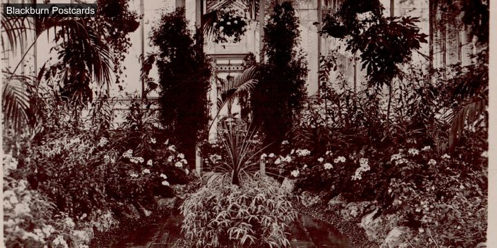 Corporation Park Conservatory Interior
